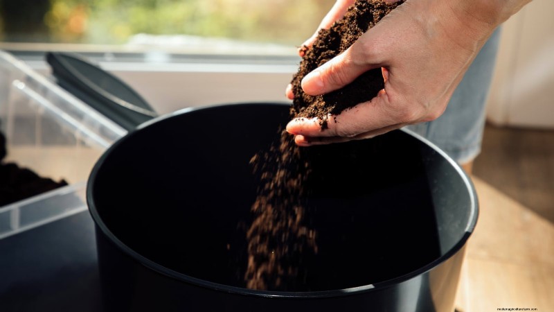 Courgettes kweken in potten:een complete gids voor containertuinieren 