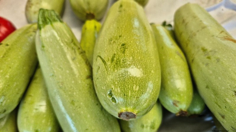 育てるのに最適な家宝ズッキーニ品種 - 風味と収量 