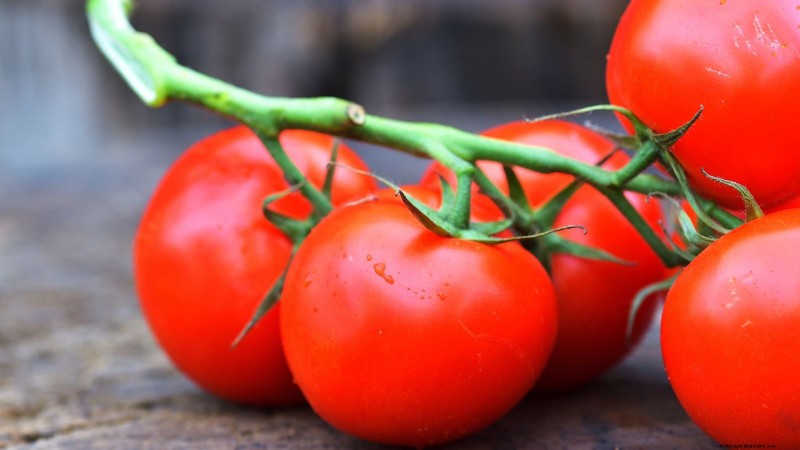 I migliori pomodori a fette da coltivare:le 15 migliori varietà per fette succose 