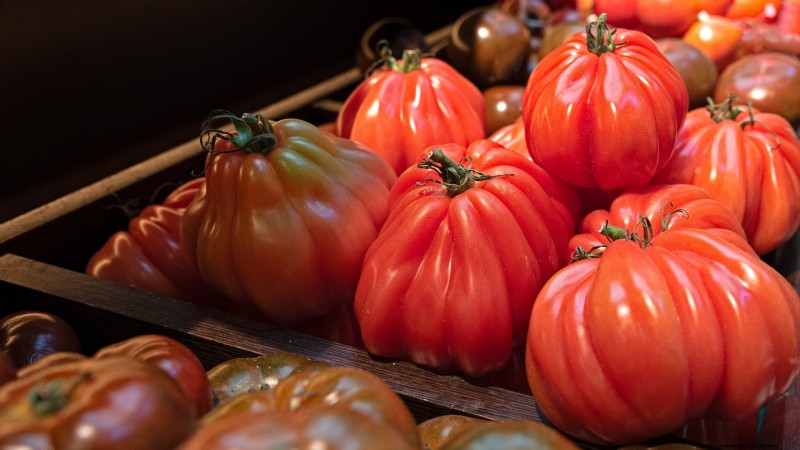 I migliori pomodori a fette da coltivare:le 15 migliori varietà per fette succose 