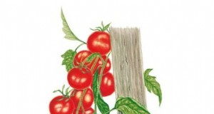Vertikaler Tomatenanbau:9 DIY-Methoden für reiche Ernten 