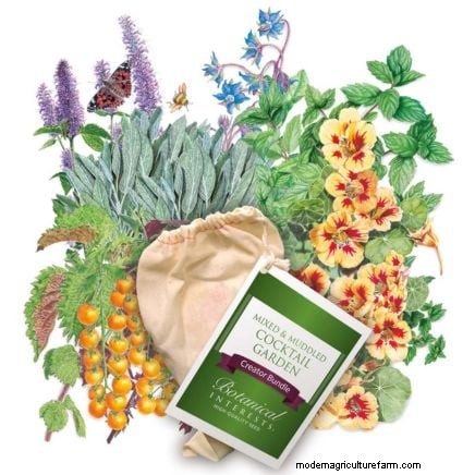 Coltivazione di erbe aromatiche biologiche:una guida per principianti alla coltivazione di erbe aromatiche 