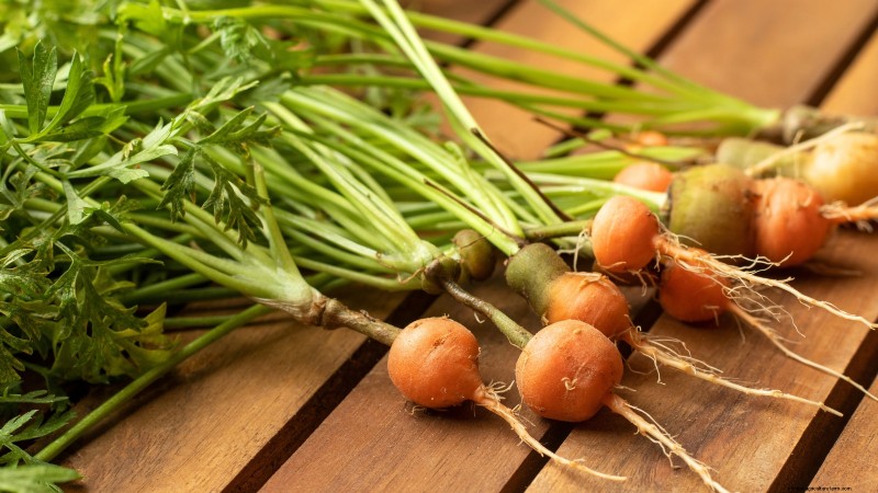 Top 19 eetbare planten voor containertuinieren | [Jaar] 