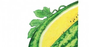 Züchten Sie köstliche Melonen:9 Sorten für Ihren Hausgarten 