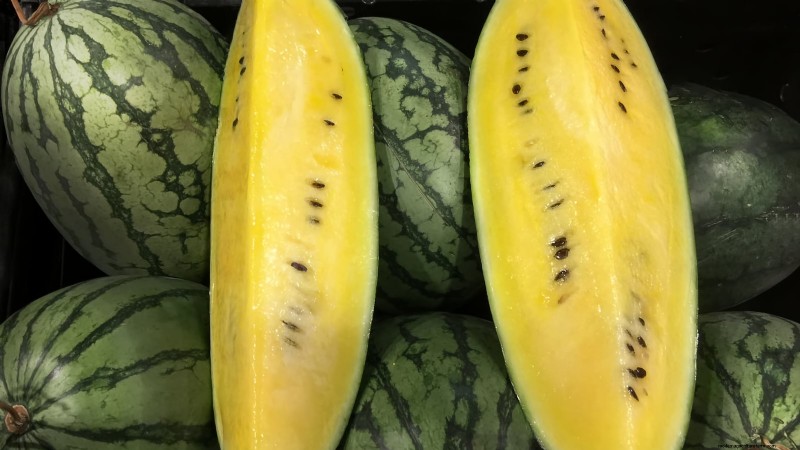 Cultive melões deliciosos:9 variedades para a sua horta