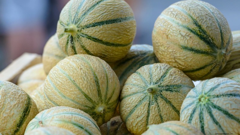 Cultive melões deliciosos:9 variedades para a sua horta