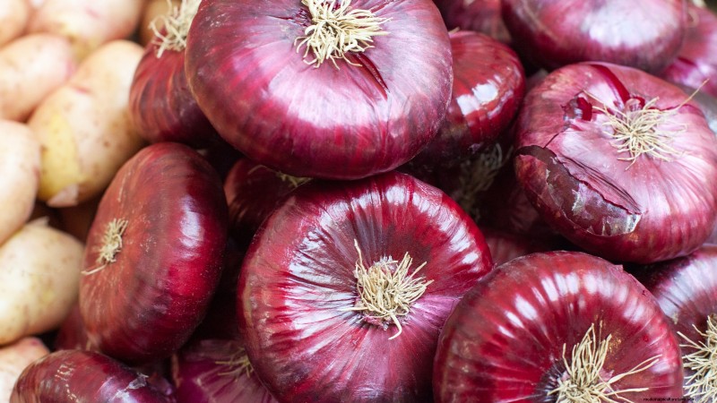 Beste uienrassen om in maart te planten | Smaak- en klimaatgids 