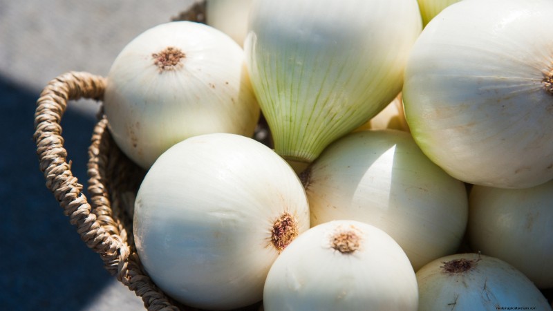 Beste uienrassen om in maart te planten | Smaak- en klimaatgids 