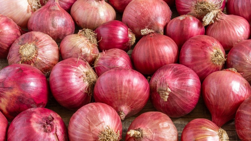 Beste uienrassen om in maart te planten | Smaak- en klimaatgids 