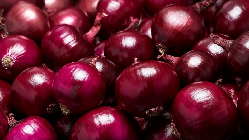 Beste uienrassen om in maart te planten | Smaak- en klimaatgids 