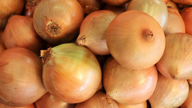 Beste uienrassen om in maart te planten | Smaak- en klimaatgids 