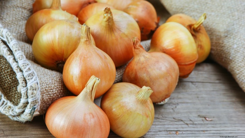 Beste uienrassen om in maart te planten | Smaak- en klimaatgids 