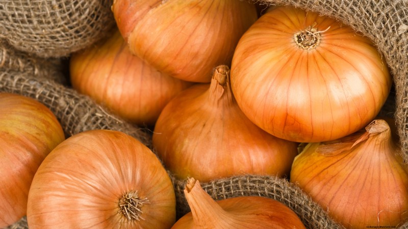 Beste uienrassen om in maart te planten | Smaak- en klimaatgids 