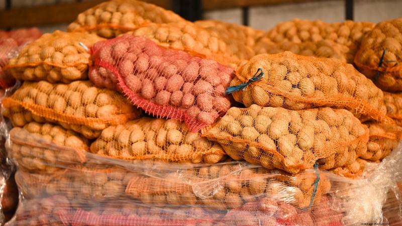 Coltivare patate dal supermercato Patate:una guida per principianti 