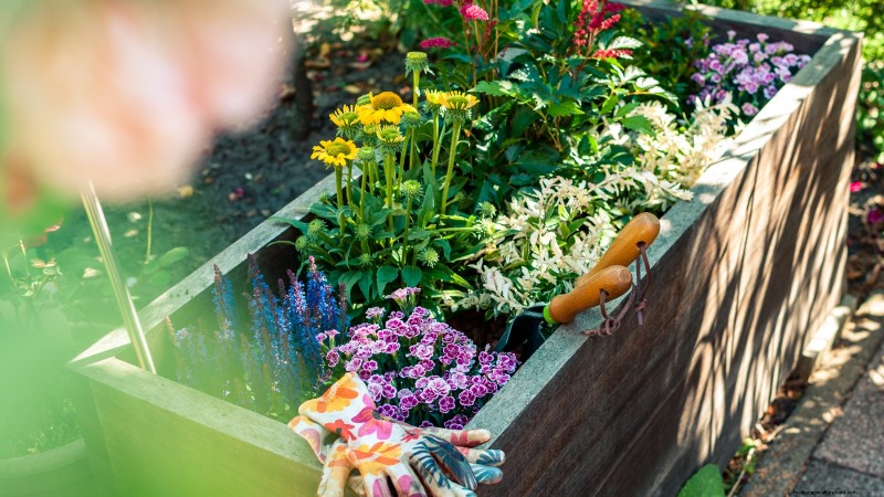 Idee per il giardino in contenitori primaverili:13 fantastici design 