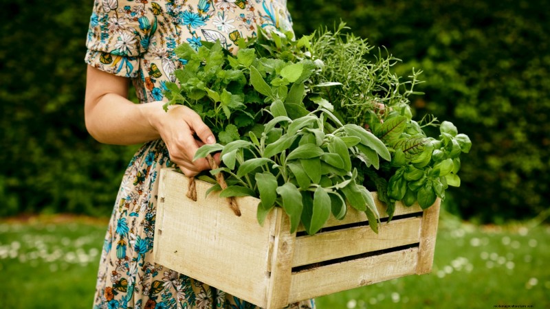 Idee per il giardino in contenitori primaverili:13 fantastici design 