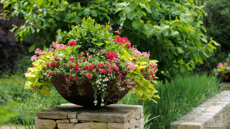 Idee per il giardino in contenitori primaverili:13 fantastici design 