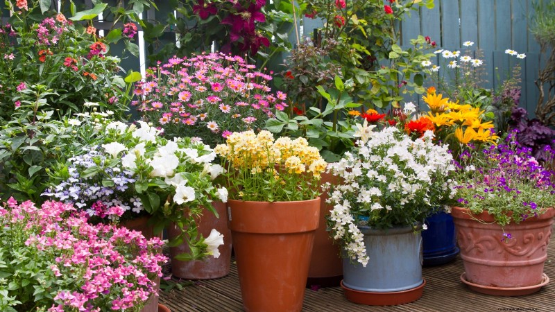 Idee per il giardino in contenitori primaverili:13 fantastici design 