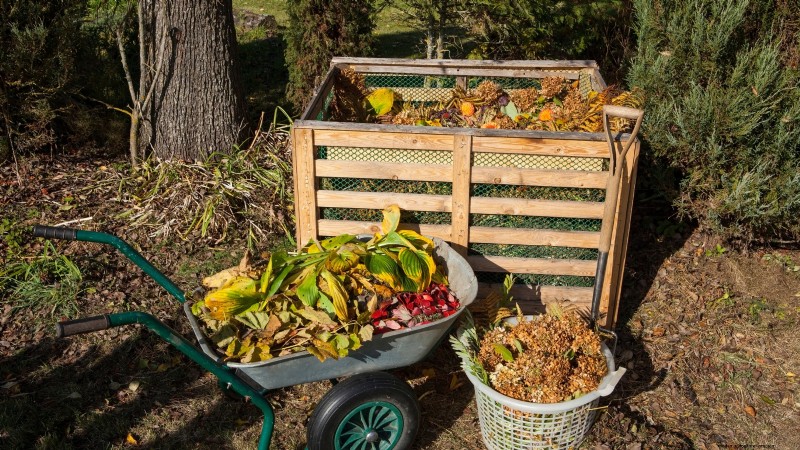 自宅で食べ物を育てる:裏庭サバイバルガーデニングの初心者ガイド 