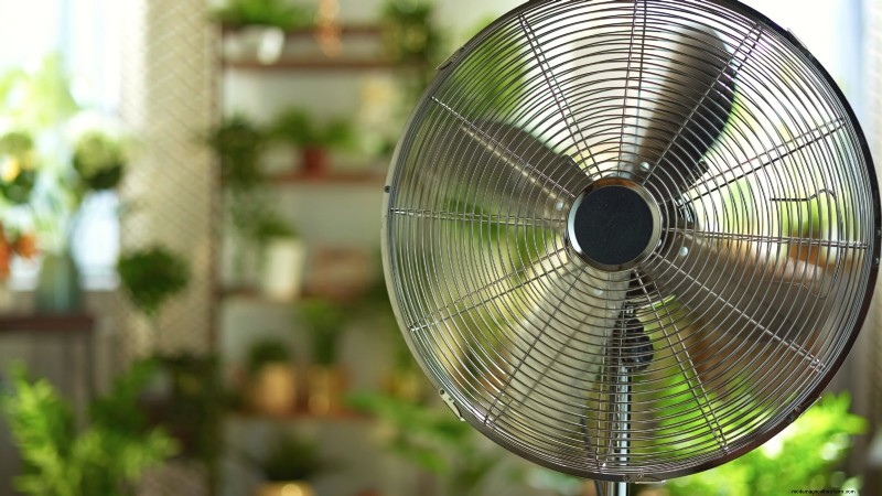 Prevención de plántulas de piernas largas:una guía para el jardinero 