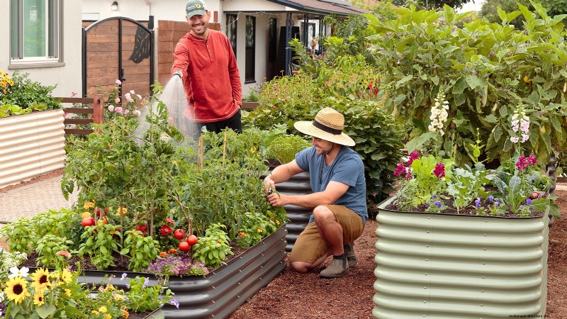 Construa um jardim de sobrevivência resiliente:segurança alimentar e autossuficiência