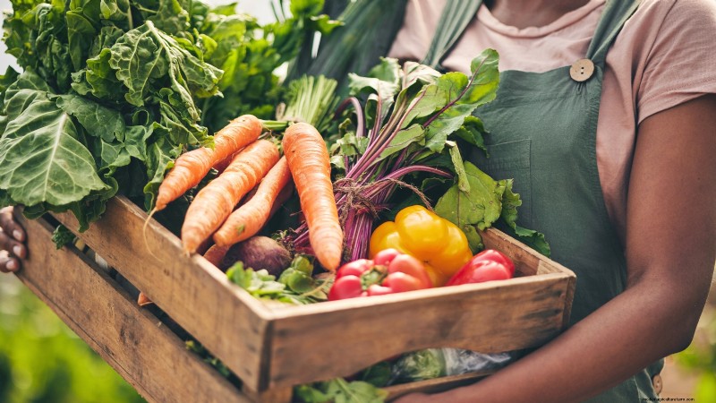 Construa um jardim de sobrevivência resiliente:segurança alimentar e autossuficiência