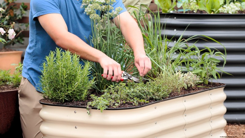 Construa um jardim de sobrevivência resiliente:segurança alimentar e autossuficiência