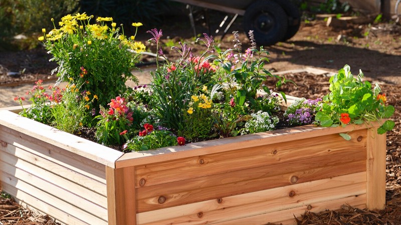 Construa um jardim de sobrevivência resiliente:segurança alimentar e autossuficiência