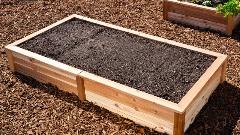 Construa um jardim de sobrevivência resiliente:segurança alimentar e autossuficiência