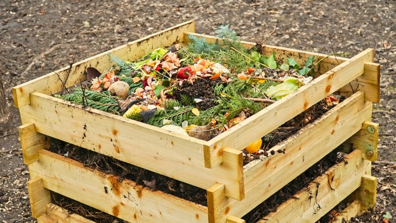 Construa um jardim de sobrevivência resiliente:segurança alimentar e autossuficiência
