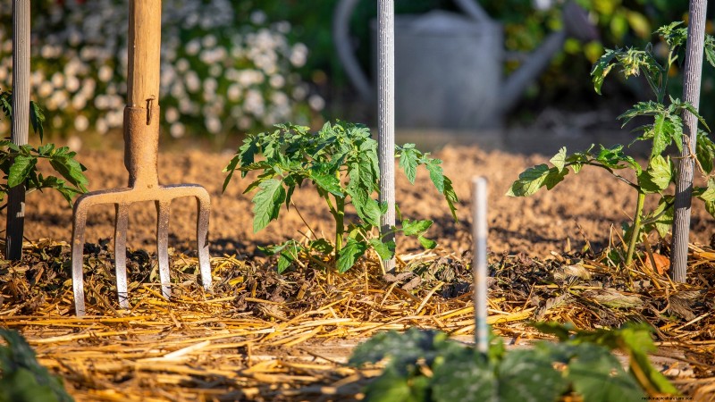 Construa um jardim de sobrevivência resiliente:segurança alimentar e autossuficiência