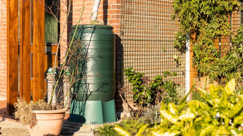 Construa um jardim de sobrevivência resiliente:segurança alimentar e autossuficiência