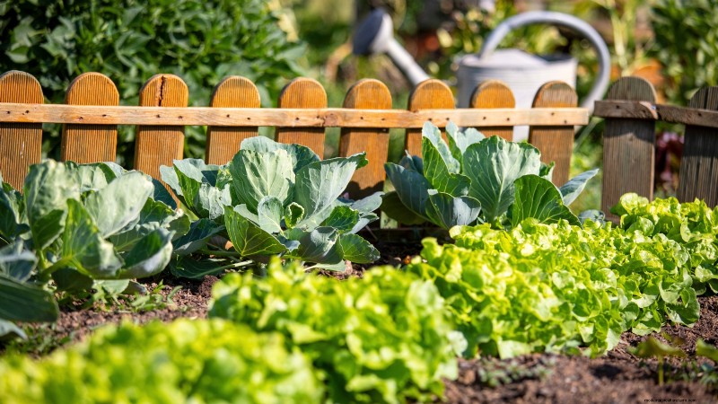 Construa um jardim de sobrevivência resiliente:segurança alimentar e autossuficiência