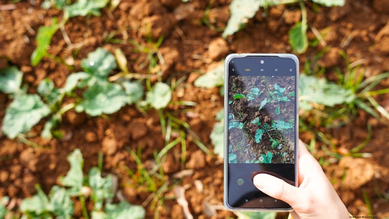 Construa um jardim de sobrevivência resiliente:segurança alimentar e autossuficiência