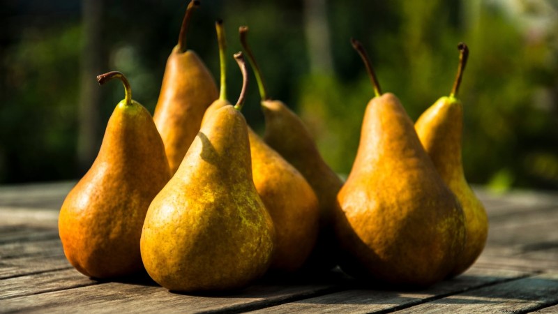 Guida al pero Bosc:piantare, coltivare e curare - Consigli degli esperti 