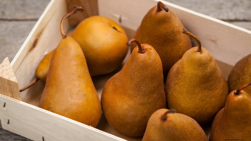 Guida al pero Bosc:piantare, coltivare e curare - Consigli degli esperti 