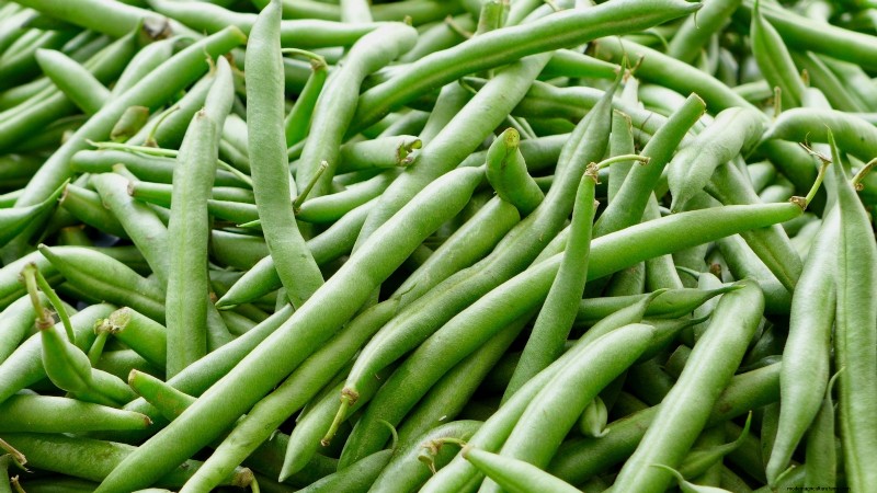 Cultive sus propios alimentos:17 cultivos esenciales para un jardín de la victoria exitoso 