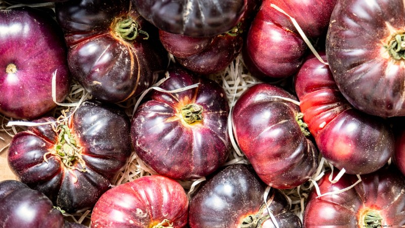 Cultive sus propios alimentos:17 cultivos esenciales para un jardín de la victoria exitoso 