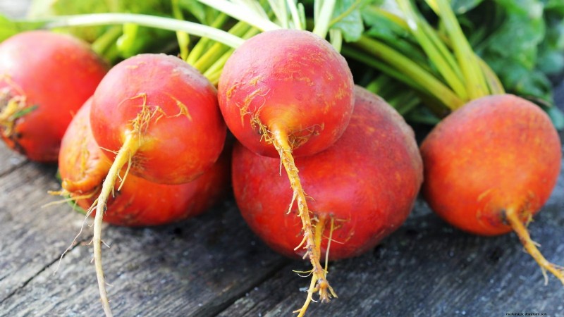 Cultive sus propios microvegetales ricos en nutrientes:una guía para principiantes 