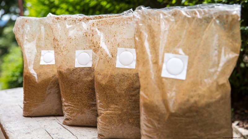 Cultivar hongos en casa:3 métodos simples y efectivos 