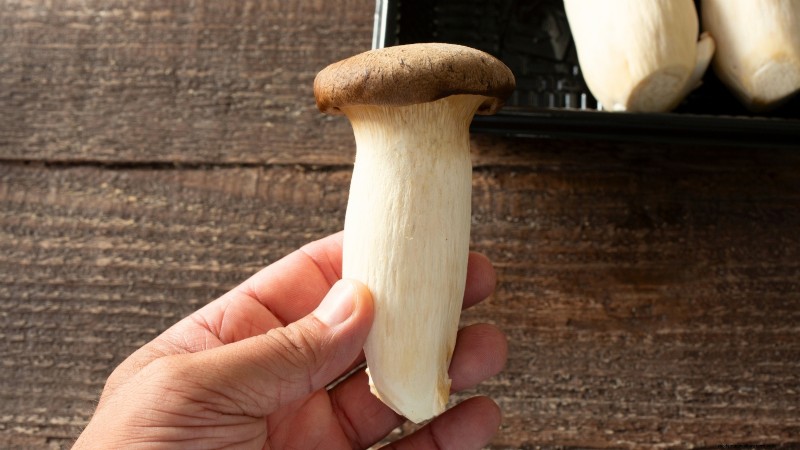 King Trumpet Mushrooms:een uitgebreide gids voor thuis kweken 