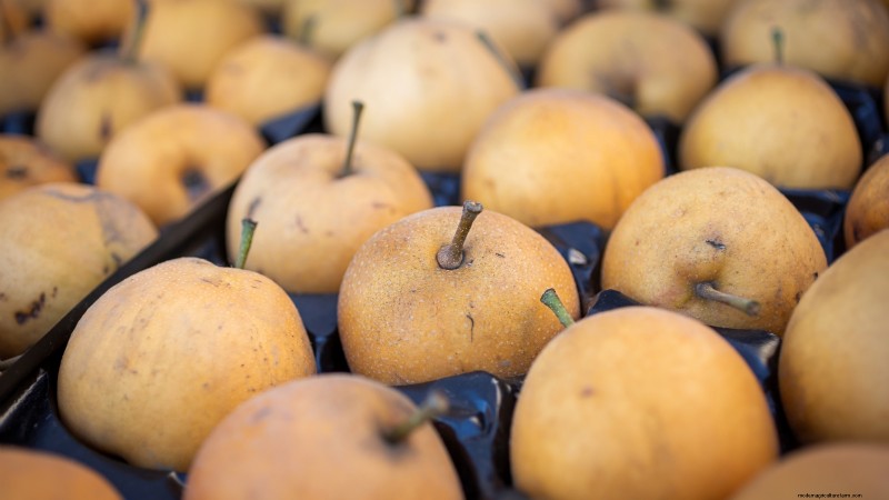 Beste fruitbomen om in november te planten:een uitgebreide gids 