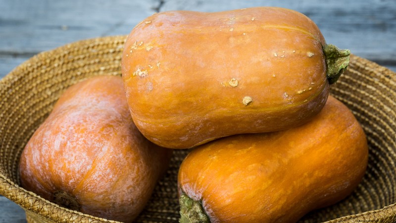 Le migliori varietà di zucca cimelio per il Ringraziamento e oltre 