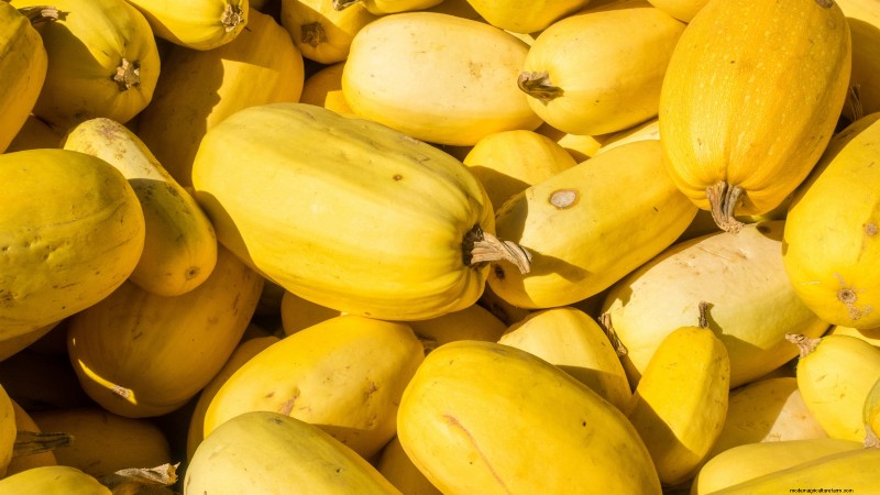 Le migliori varietà di zucca cimelio per il Ringraziamento e oltre 