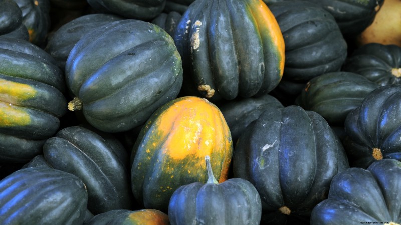 Le migliori varietà di zucca cimelio per il Ringraziamento e oltre 