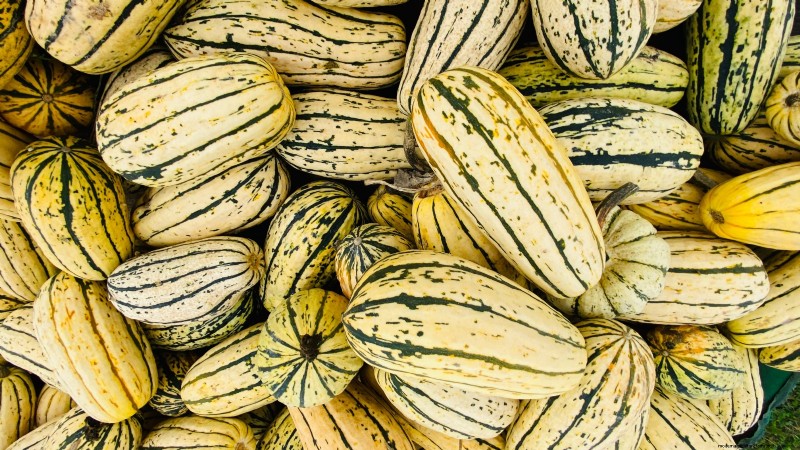 Le migliori varietà di zucca cimelio per il Ringraziamento e oltre 