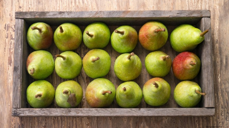 Guida alla raccolta delle pere:tempi e tecniche per un sapore ottimale 