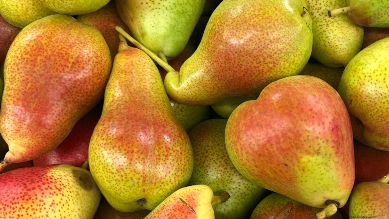 Varietas Pohon Pir Terbaik untuk Kebun Rumah:Panduan Komprehensif 