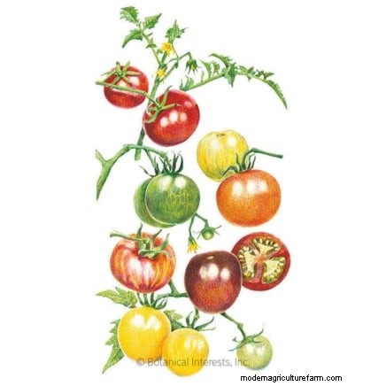 Cultivos que pasan el invierno:extienda su temporada de cultivo (Guía de la zona 8b) 