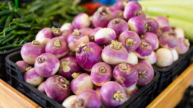 Raccolta della rapa:tempistiche, tecniche e usi culinari 